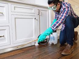 Best Real Estate Pest Inspections  in Pacific City, OR